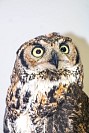 23062025clase_publica_20250623143.jpg