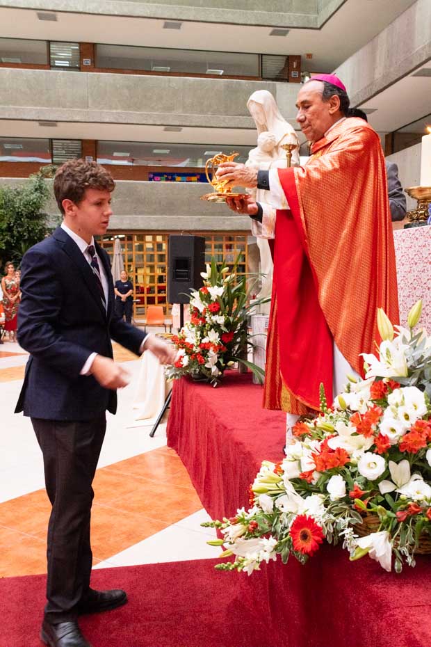 Ir a la Siguiente Foto