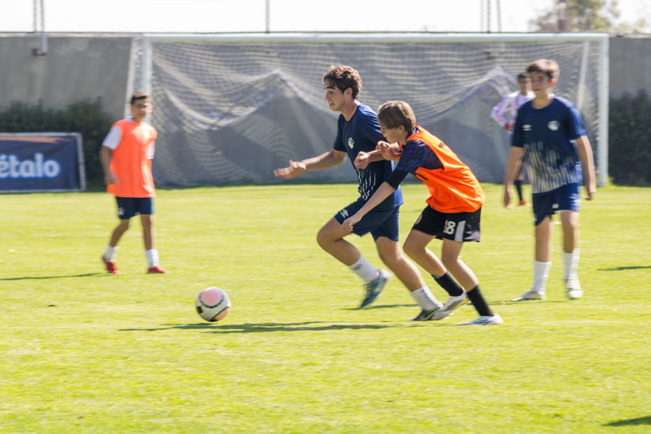 Ir a la Siguiente Foto