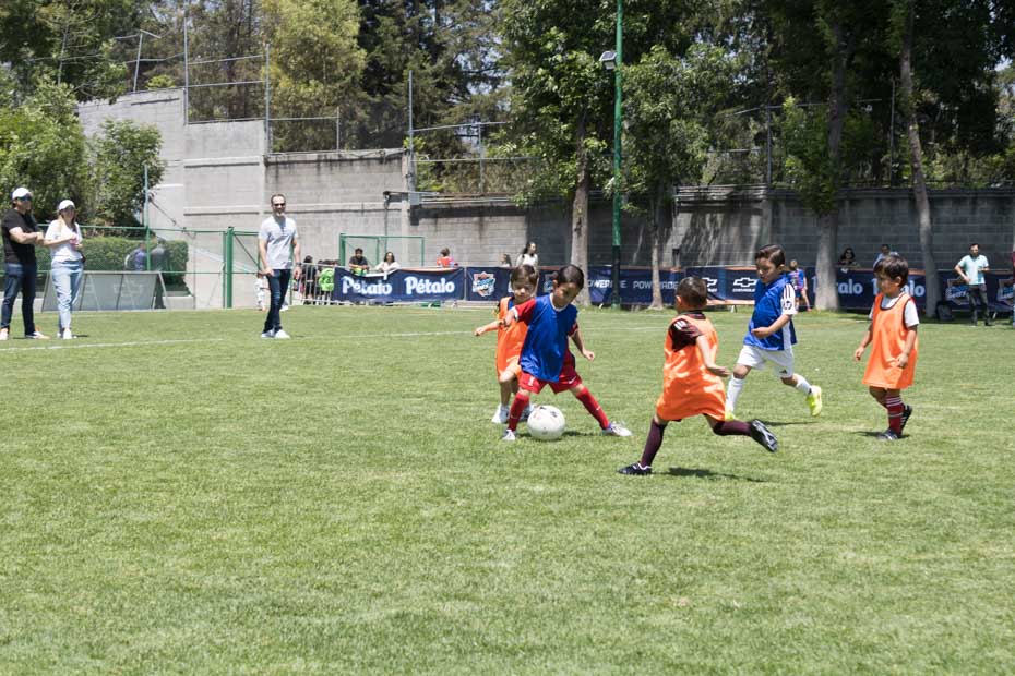 Ir a la Siguiente Foto