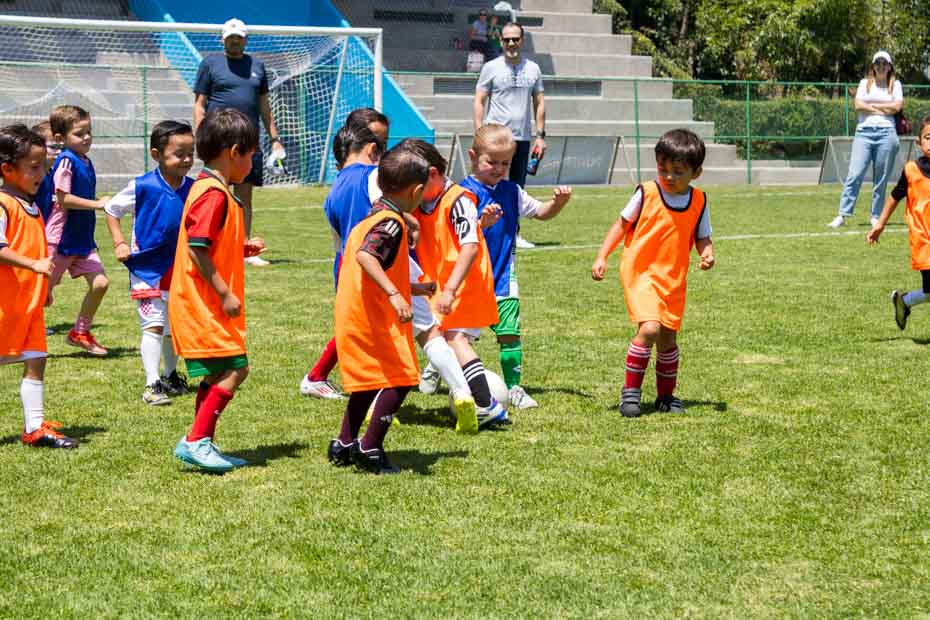 Ir a la Siguiente Foto