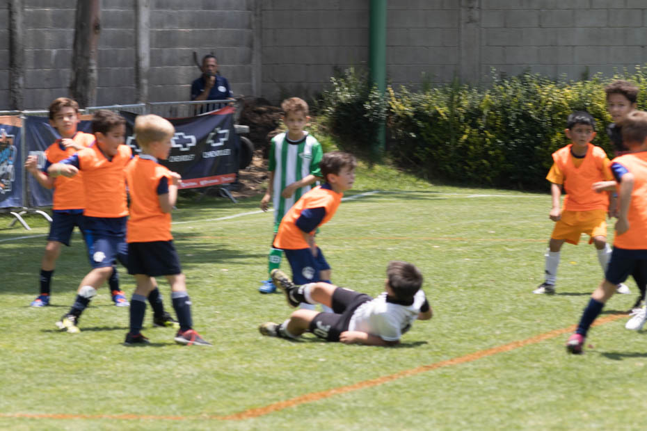 Ir a la Siguiente Foto