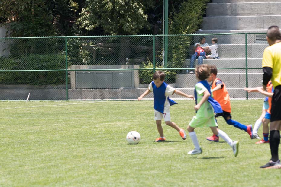 Ir a la Siguiente Foto