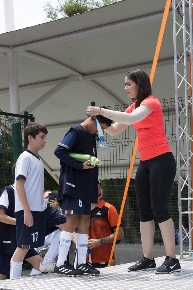 Ir a la Siguiente Foto