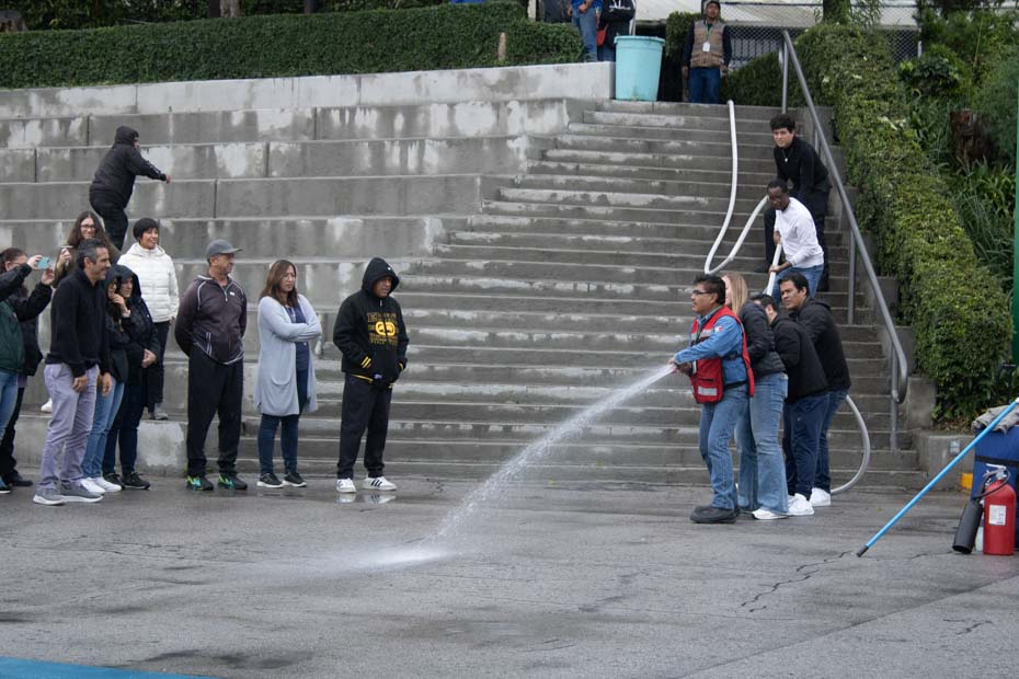 Ir a la Siguiente Foto