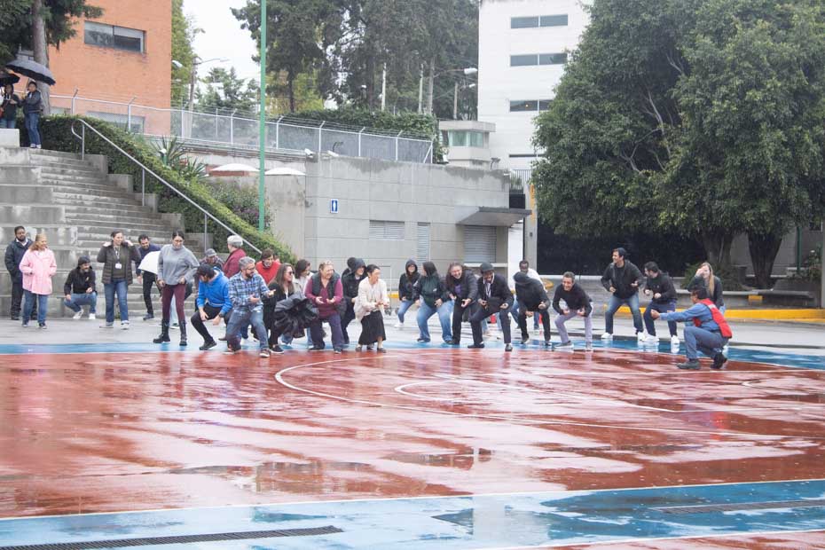 Ir a la Siguiente Foto