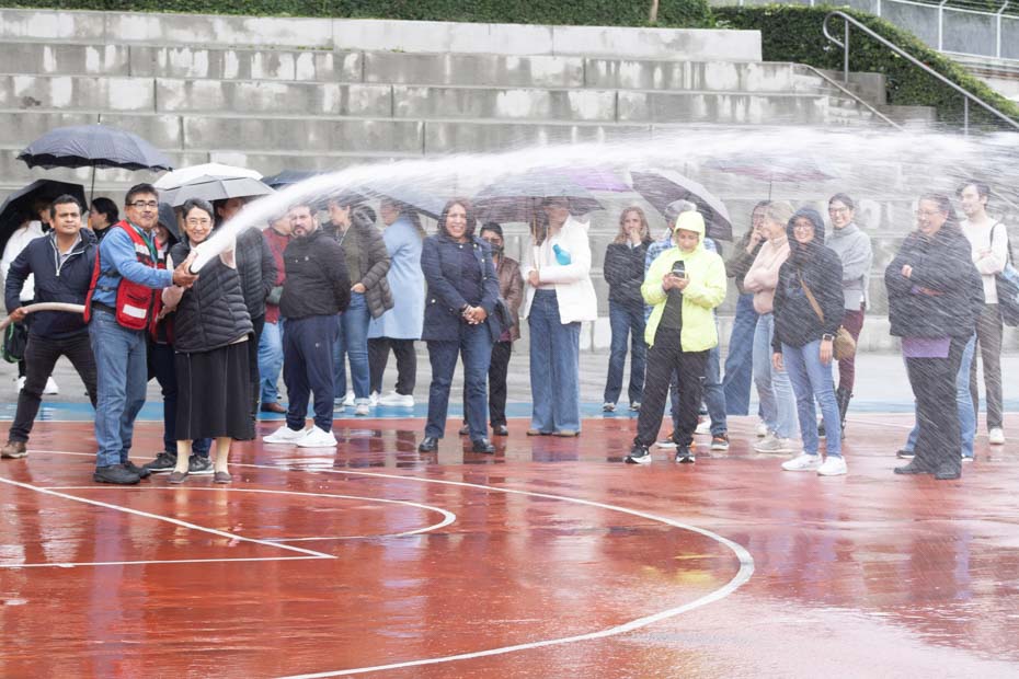Ir a la Siguiente Foto