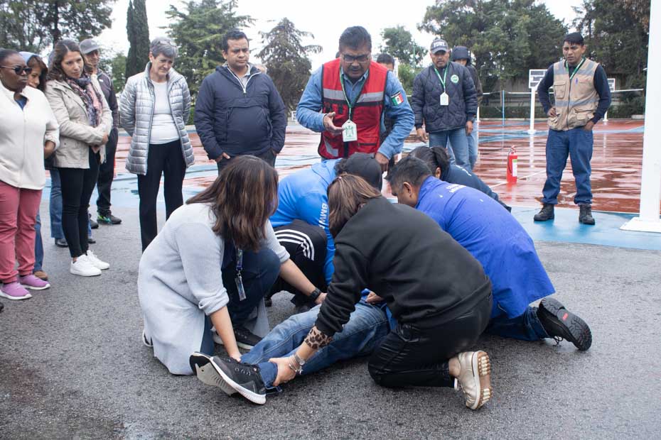 Ir a la Siguiente Foto