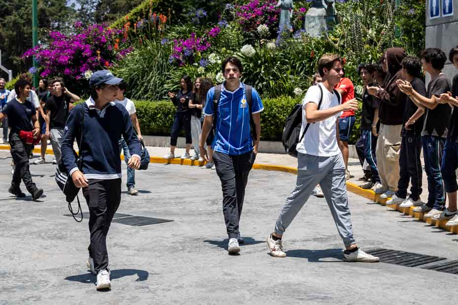 Ir a la Siguiente Foto