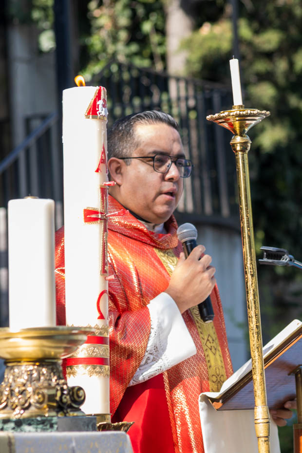 Ir a la Siguiente Foto