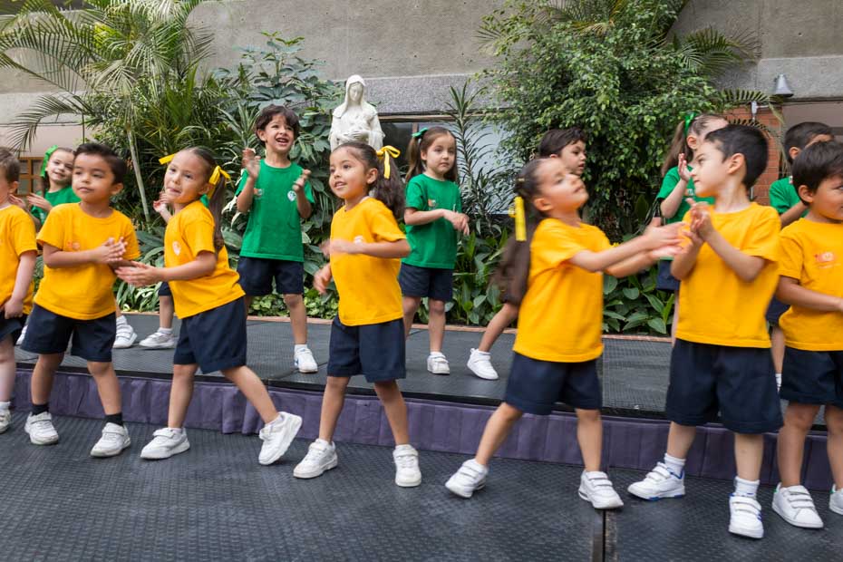 Ir a la Siguiente Foto