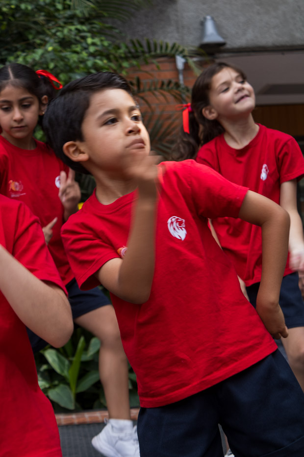 Ir a la Siguiente Foto