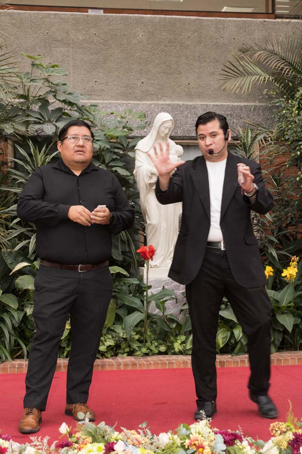 Ir a la Siguiente Foto