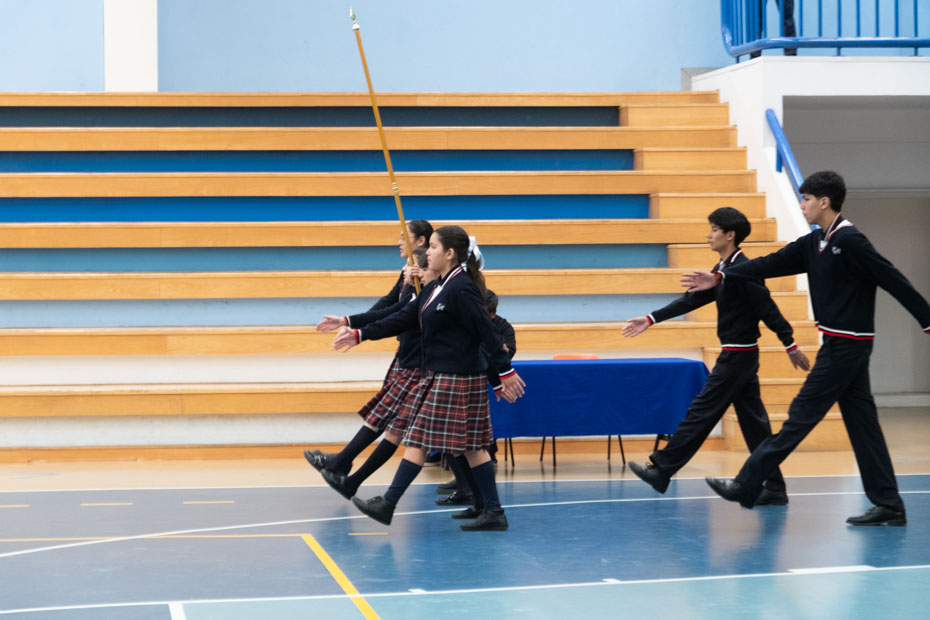 Ir a la Siguiente Foto