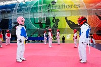 17062025examen_tae_kwon_do_jun202519.jpg