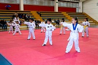 17062025examen_tae_kwon_do_jun2025216.jpg