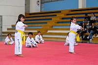 17062025examen_tae_kwon_do_jun2025224.jpg