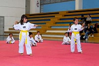 17062025examen_tae_kwon_do_jun2025225.jpg
