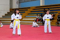 17062025examen_tae_kwon_do_jun2025226.jpg