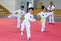 17062025examen_tae_kwon_do_jun2025265.jpg
