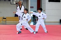 17062025examen_tae_kwon_do_jun2025291.jpg