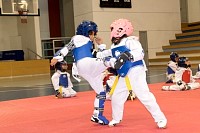 17062025examen_tae_kwon_do_jun2025327.jpg