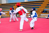 17062025examen_tae_kwon_do_jun202535.jpg