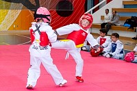 17062025examen_tae_kwon_do_jun202546.jpg