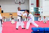 17062025examen_tae_kwon_do_jun202576.jpg