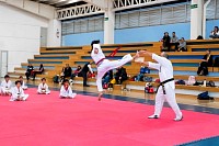 17062025examen_tae_kwon_do_jun202577.jpg