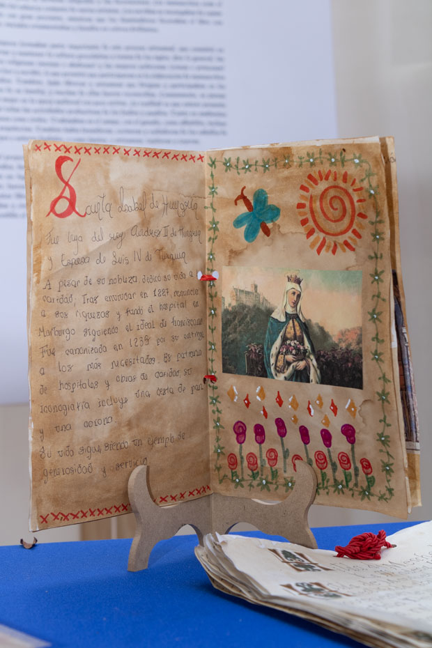 Ir a la Siguiente Foto