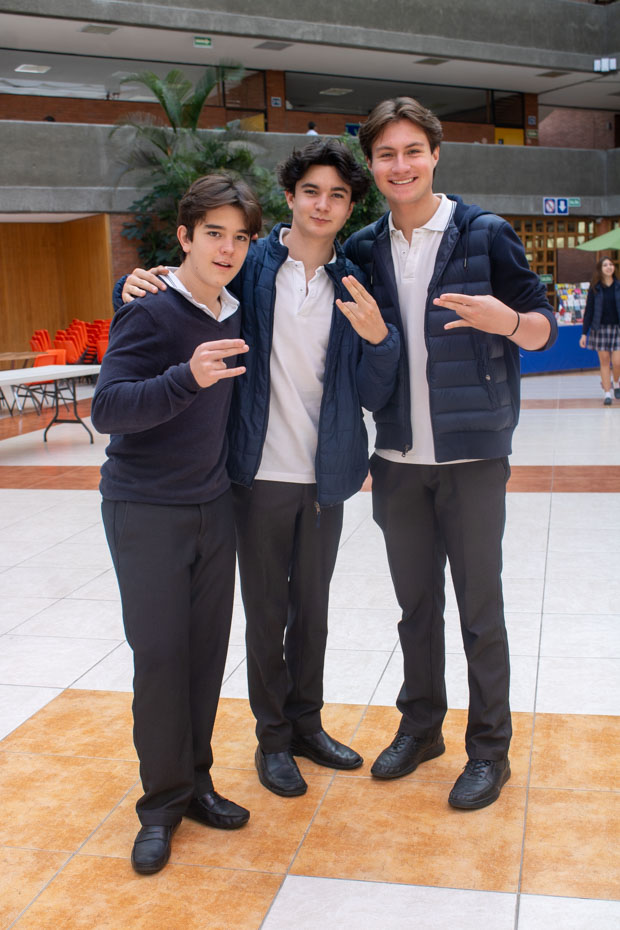 Ir a la Siguiente Foto