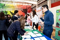 04112024feria_universidades202488.jpg