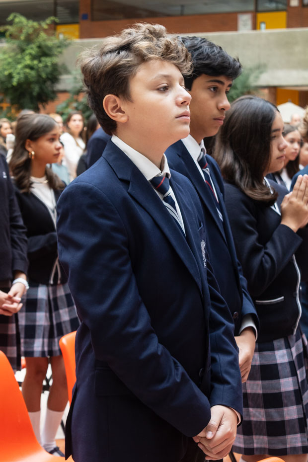 Ir a la Siguiente Foto