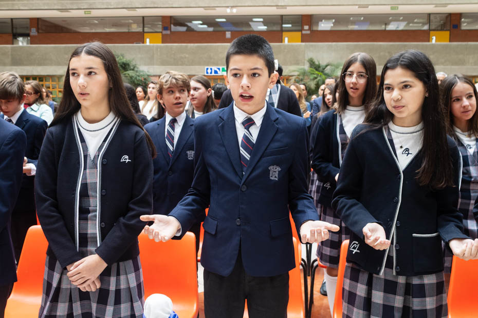 Ir a la Siguiente Foto