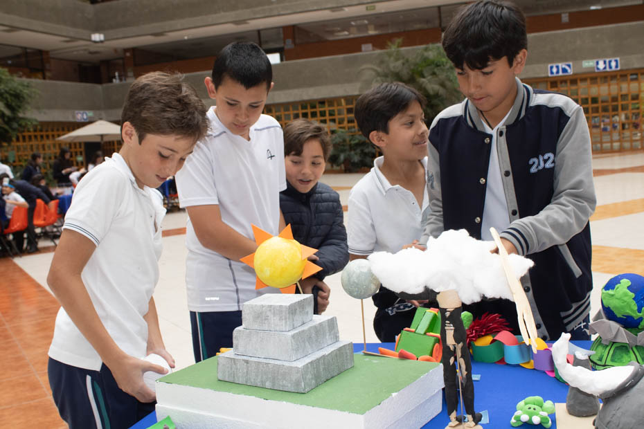 Ir a la Siguiente Foto