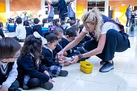 29102024kilometro_misionero_preescolar202434.jpg