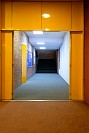 05032025miercoles_ceniza2025306.jpg