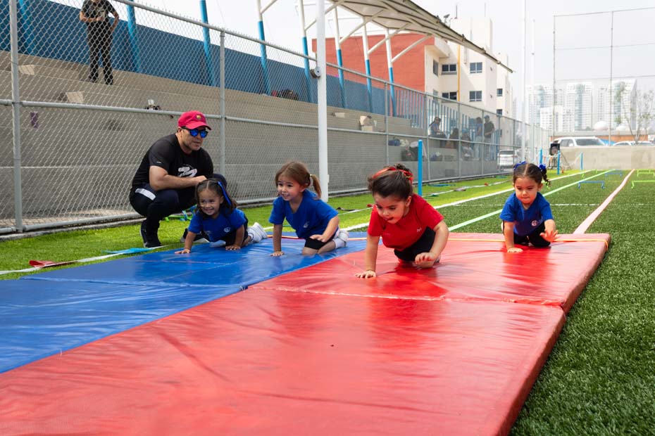 Ir a la Siguiente Foto