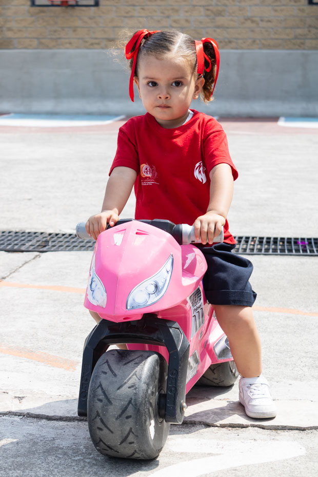 Ir a la Siguiente Foto