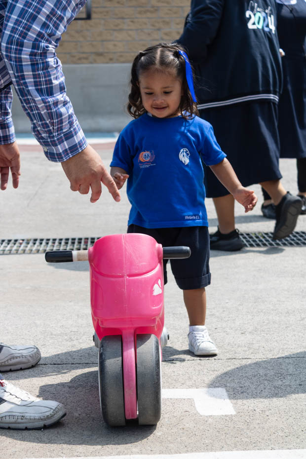 Ir a la Siguiente Foto