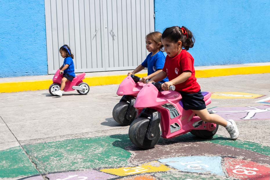 Ir a la Siguiente Foto