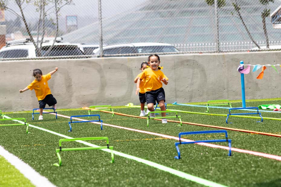 Ir a la Siguiente Foto