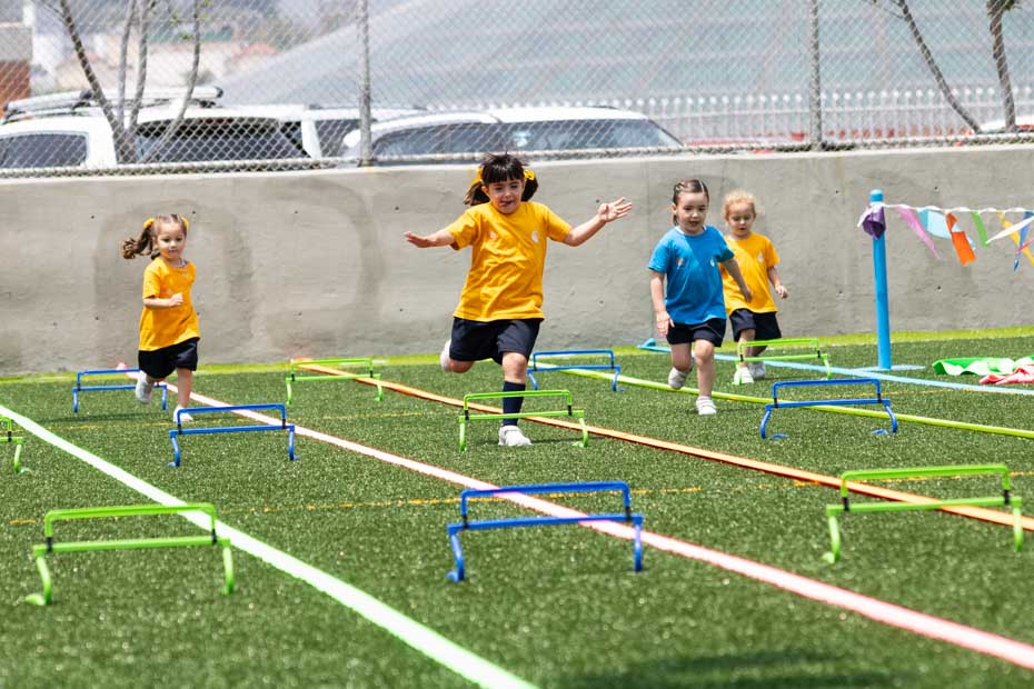 Ir a la Siguiente Foto