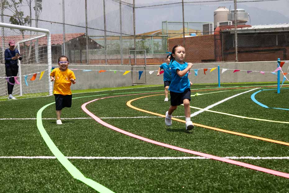 Ir a la Siguiente Foto