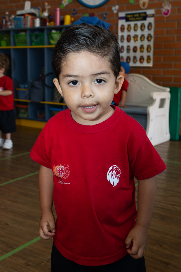 Ir a la Siguiente Foto