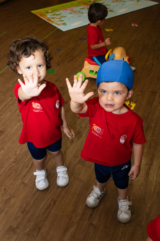 Ir a la Siguiente Foto