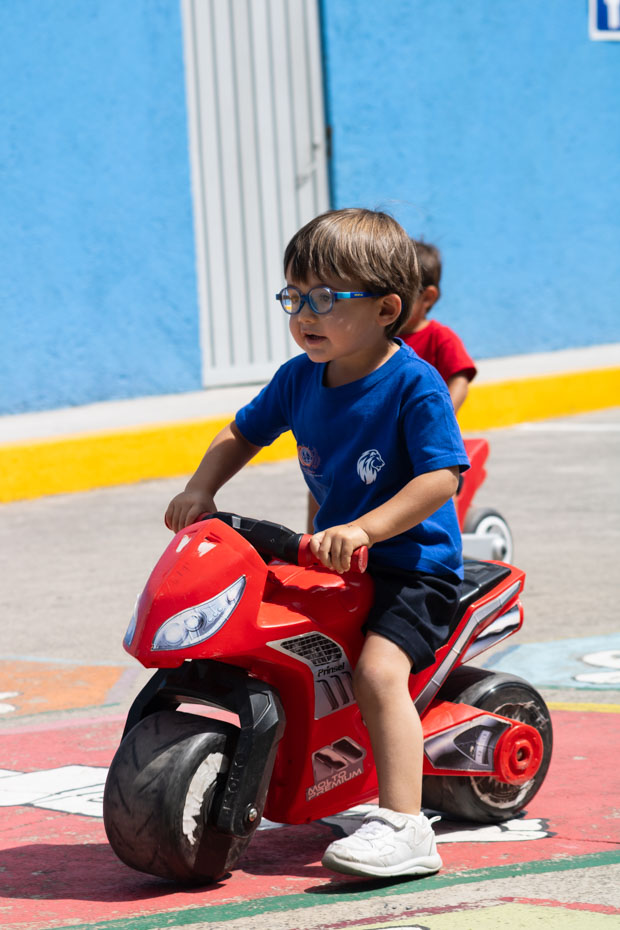 Ir a la Siguiente Foto