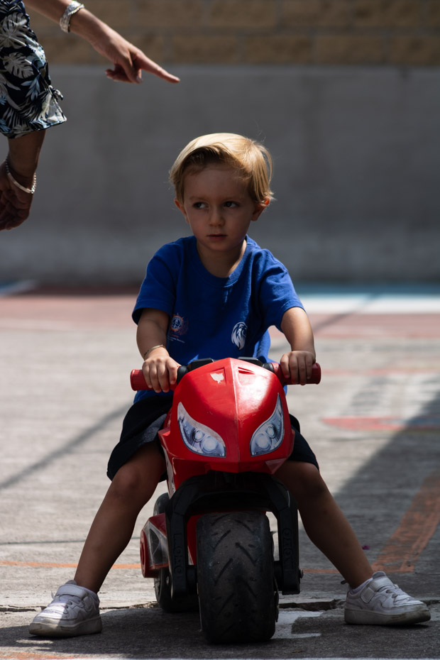 Ir a la Siguiente Foto