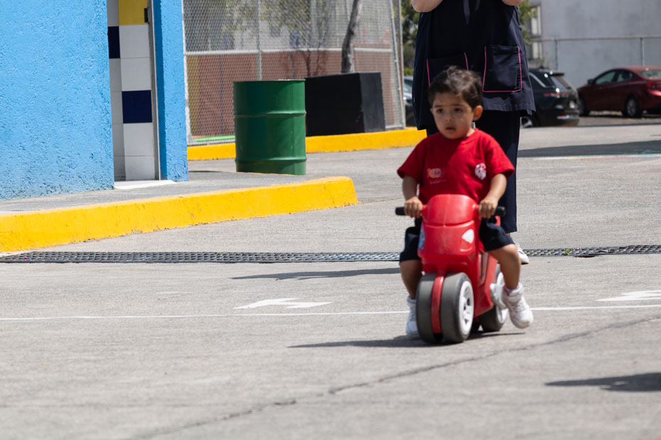 Ir a la Siguiente Foto